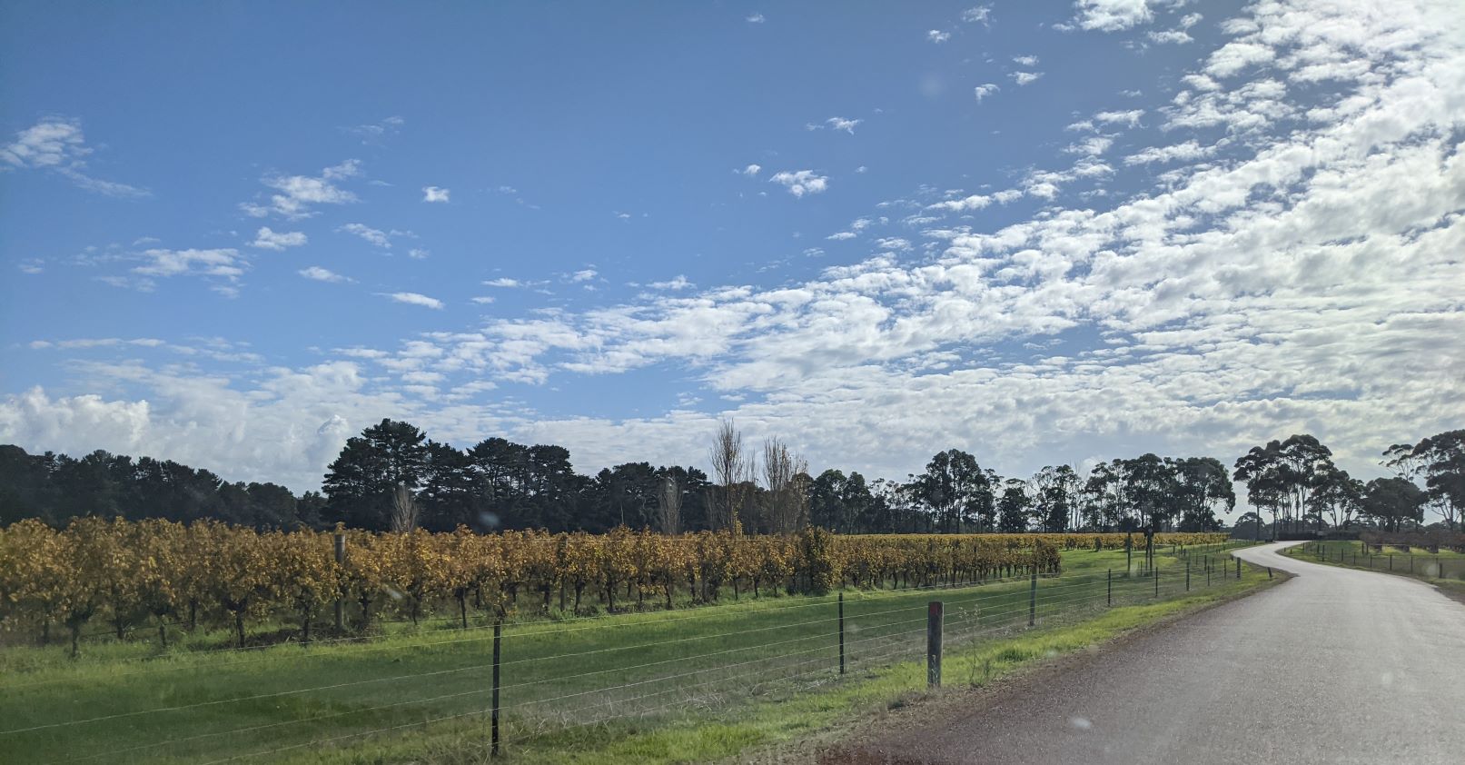 The Best Wineries for Tasting and Lunch in Margaret River